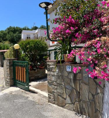Pioppi House | Discover Il Sole di Pioppi: Your Ideal Getaway