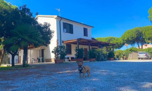 Saline Sadun Apartment | Pet-Friendly Getaway at Il Tombolo - Rated 8.6 by Guests