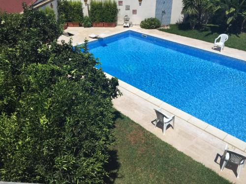 Palmi House | Discover Il Veliero E I Girasoli with Ocean Views and Pool