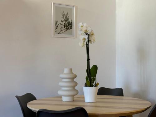 Marino Apartment | Discover Il Vicoletto Marino: Oceanfront & Pet Friendly Stay