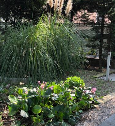 San Leonardo Bed & Breakfast | Discover Il Villino della Duchessa: Pet-Friendly Retreat