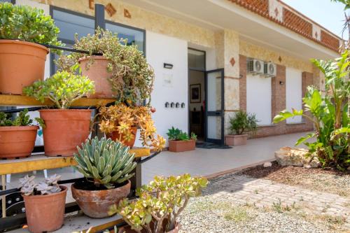 Santa Teresa di Riva Bed & Breakfast | Top-Rated IL VIVAIO Bed and Breakfast with Family Amenities