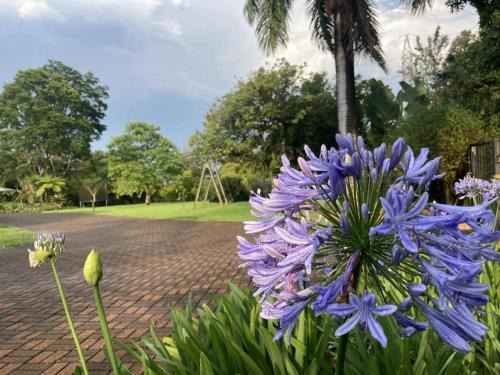 White River House | Enjoy a Memorable Stay at ilanda Guest House with Pool