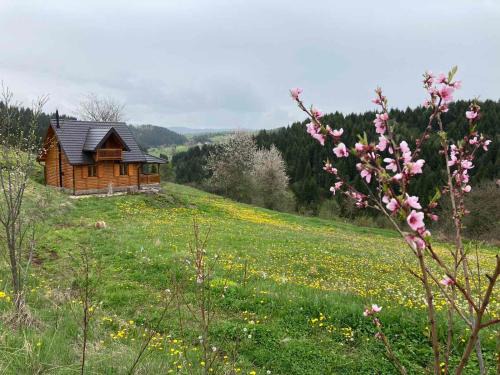 Zlatibor House | Imanje Mir: Guest Rated 10/10 - Pet & Child Friendly Stay