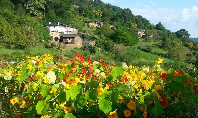 Panton House | Discover Ribeira Sacra: Guest Rated 9.8 with Pool & Spa