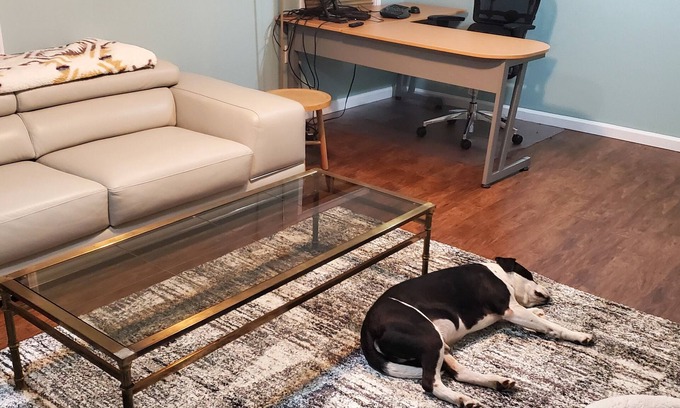 Hartford Apartment | Convenient In-Law Apartment Near Downtown Hartford