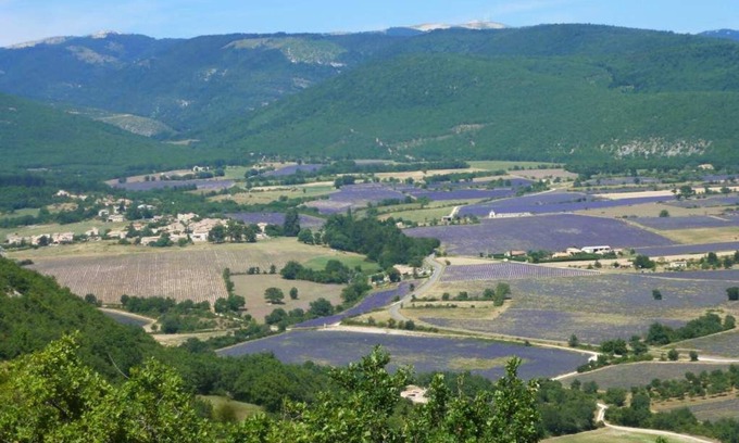 Lardiers Apartment | Discover Lavender Bliss at the Foot of Lure Mountain