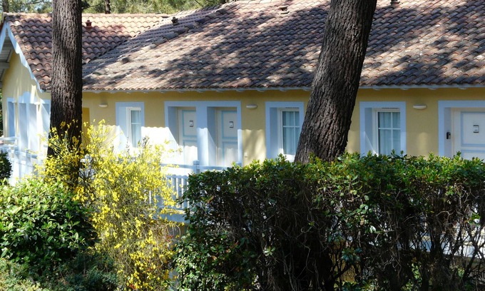 Lacanau-Ocean Apartment | Relaxing Pines Retreat: Ideal Apartment for Oceanfront Getaway