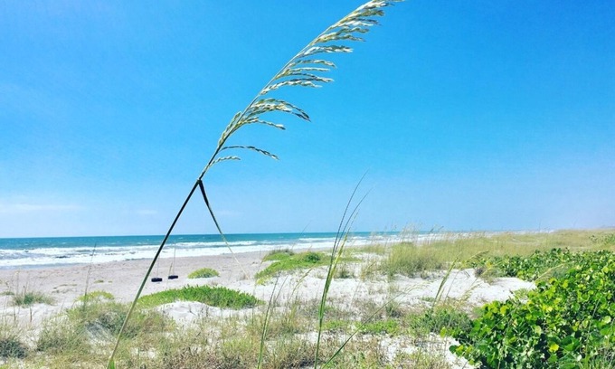 Crescent Beach Condo | Remarkable Oceanfront 2 BR Condo with Pool & Breakfast