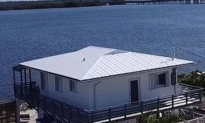 Doctor's Arm House | Oceanfront Retreat with Spectacular Views - Guest Rated 9.8