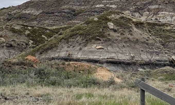 Drumheller House | Unmatched Views of Drumheller Hills - Family Friendly Stay