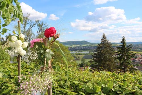 Meinhard Hotel | Pet-Friendly Stay at Inklusions- und Panorama Hotel Kochsberg