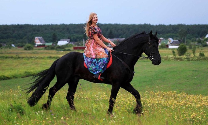 Pechki Hotel | Budget-Friendly Inn First Horse with Kitchen & Pet Welcome