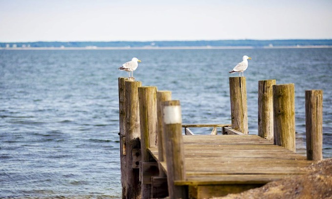 East Falmouth Resort | InnSeason Resorts Surfside: Waterfront Views & Beach Access