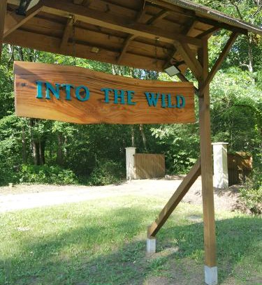 Belin-Beliet Apartment | Unique Getaway: INTO THE WILD - 5 Atypical Accommodations