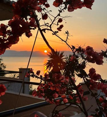 Dafnata Apartment | Cozy Ionian Sea View Studios: Pet-Friendly & Oceanfront Stay
