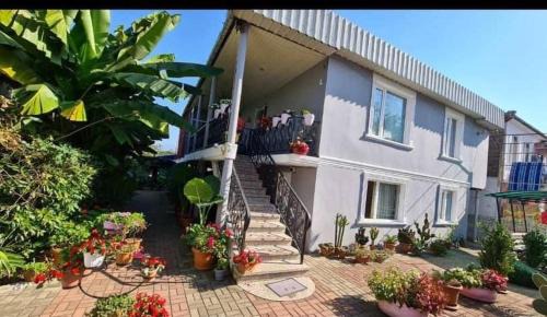 Kobuleti House | Exceptional Ios Guest House: Pet and Child Friendly Stay