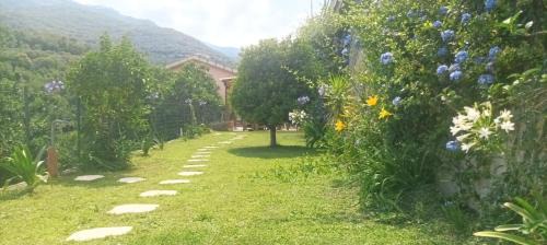 Rossi House | Discover Iris Casa Vacanze: Pet & Child Friendly Retreat