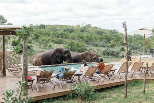 Maruleng Cabin | Isambane Camp: Oceanfront Retreat with Spa & Pool