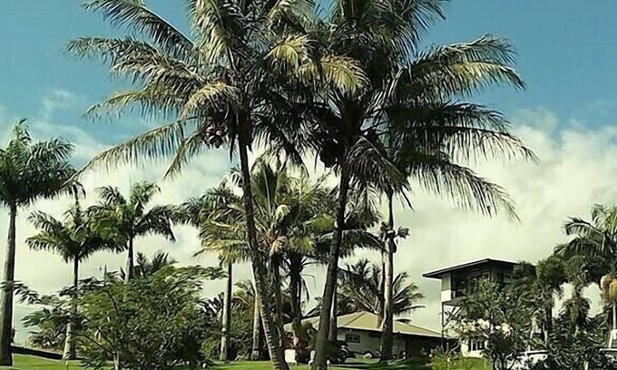 Papaikou Hotel | Island Goode's: Adults Only Retreat with Pool & Spa