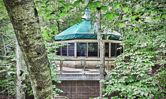 Monmouth House | Discover Tree House Island Life: Pet-Friendly Retreat