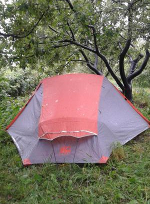Grigoryevka Other | Cozy Issyk-Kul Camping Grigoryevka: Pet-Friendly Retreat