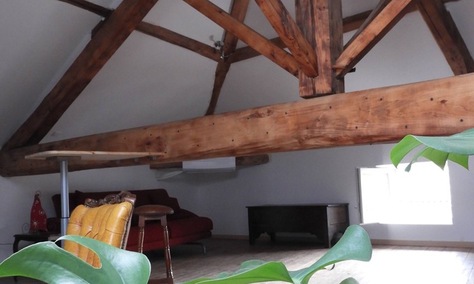 Chanas House | Experience the Good Life with Ocean Views & Pet-Friendly Stays
