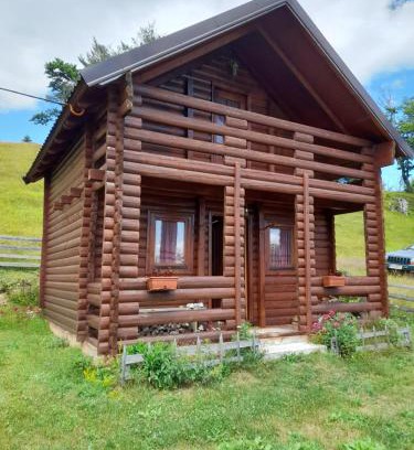 Montenegro Apartment | - Ivanovici Rudo brdo