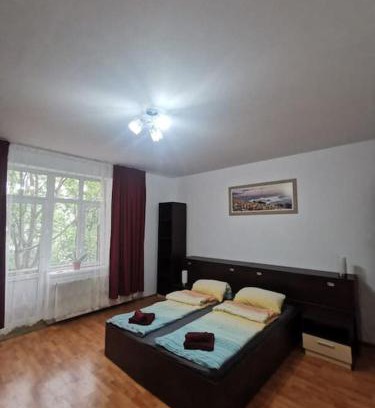 Timisoara Apartment | Pet-Friendly IVY Apartment: Perfect for Families & Travelers
