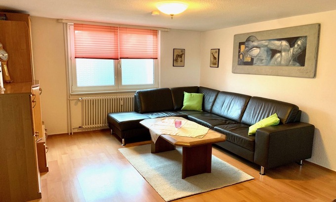 Bad Duerrheim Apartment | Pet-Friendly Ocean View Apartment at Jägerhaus-Hochemmingen