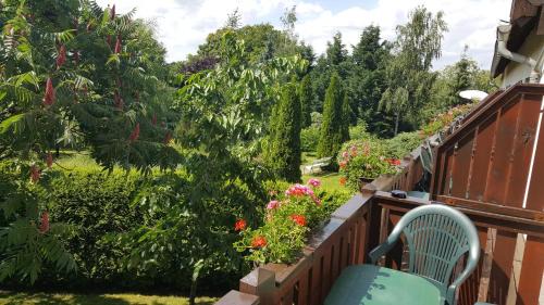 Diera-Zehren Hotel | Explore Jägerheim Löbsal: Pet-Friendly Retreat with Top Ratings