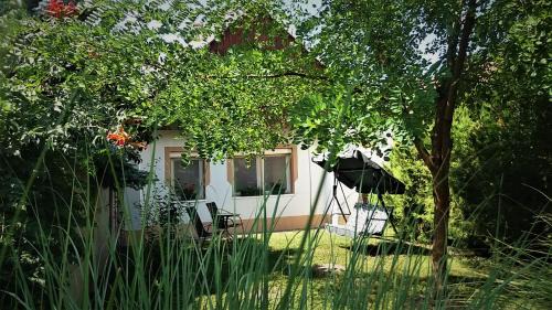 Sarrod House | Family-Friendly Stay at Júlia Vendégház Sarród - 10/10 Rating