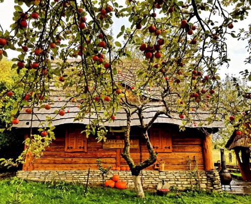 Kalwaria Pacawska Ski Chalet | Jabłoniowa Chatka: Pet-Friendly Retreat with 9.4/10 Rating
