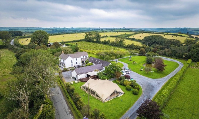 Whitland Hotel | Jabajak Vineyard–Your Exclusive Adults Only Big House Escape in Carmarthenshire