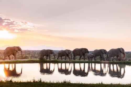 Thorny Bush Game Reserve Cabin | Experience Jabulani Safari: 5-Star Oceanfront Retreat