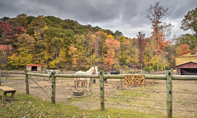 Huntingdon Apartment | Cozy James West Apt near Raystown Lake with 50 Acres