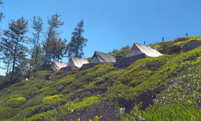 Ithalar Other | Budget-Friendly Janardan Tea Campsite in Ooty
