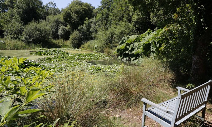 Brazzacott Cottage | Discover Jane's Place: Pet-Friendly Stay with Breakfast