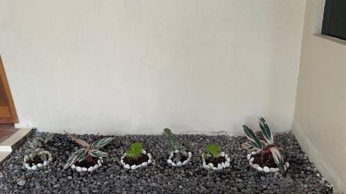 Jatinegara Villa | Japandi Ryokan Staycation