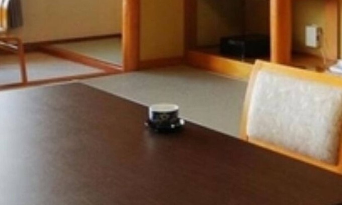 Kesennuma Hotel | Inviting Japanese-Style Room in Kesennuma, Miyagi