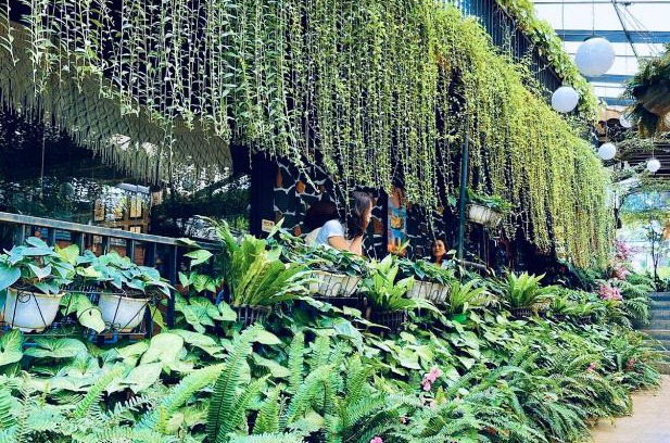 Pleiku Hotel | Family-Friendly Jaraihomestay with Breakfast Included
