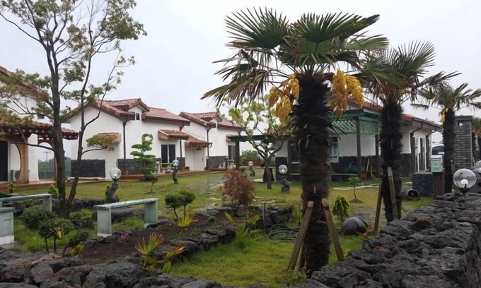 Pyeongdae-ri Condo | Top-Rated Jeju Bijarim Midam Pension with Family-Friendly Amenities