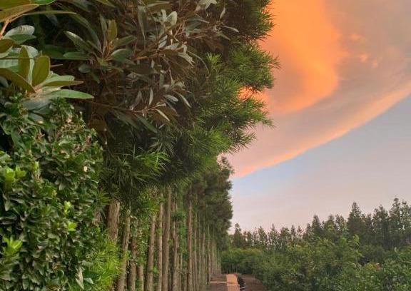 Jocheon House | Discover Jeju Bomewasan: 4-Star Child-Friendly Retreat