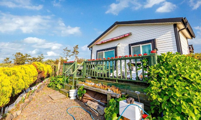 Hallim House | Experience Jeju Kkot Hyang gi Badasori Pension: 10/10 Rating