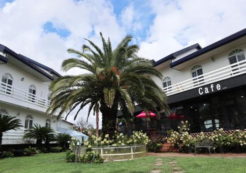 Hallim Resort | Family-Friendly Retreat at Jeju Resortel Awaits You