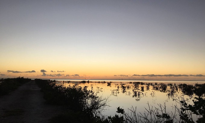 Cartwright House | Relaxing Jellyfish Cottage with Private Pool & Breakfast