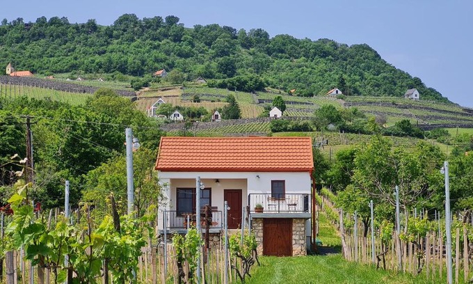 Somlovasarhely House | Guest Rated 10/10 at Jera Pince és Vendégház - Pet Friendly