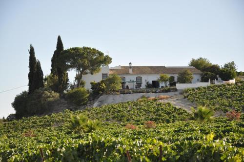 Jerez de la Frontera House | Discover Jerez Viña Santa Petronila: Family-Friendly Retreat