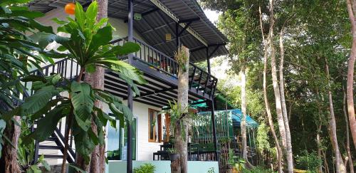 Khong Koi Beach Apartment | Explore Jeroen's Jungle View: Pet Friendly & Breakfast Included