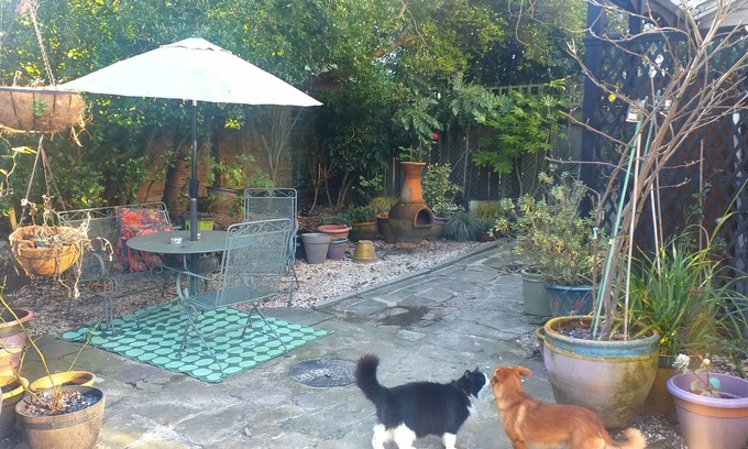 Hull Bed & Breakfast | Discover Jesmond Vegan B&B: Perfect for Families & Breakfast Lovers
